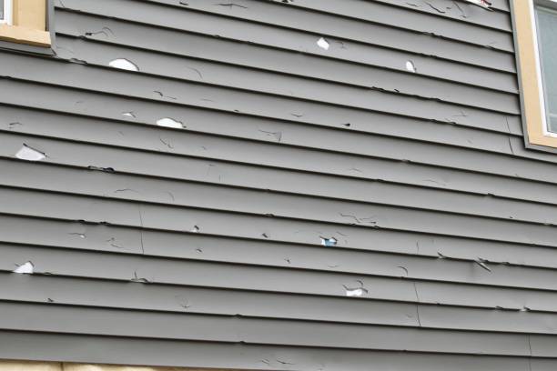 Best Storm Damage Siding Repair  in Idyllwild Pine Cove, CA